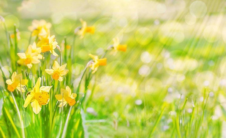 Foto m vergangenen Jahr ist das Transaktionsvolumen auf dem deutschen Immobilienmarkt um 57% eingebrochen. Laut BNP Paribas steht der Markt im Jahr 2024 aber vor einem Aufschwung.<br><br>�bernahmen im Bereich Gewerbeimmobilien beliefen sich 2023 auf rund 23,3 Milliarden Euro, nicht einmal die H�lfte der 54,1 Milliarden Euro, die im Vorjahr erreicht worden waren, so BNP in einer Studie. Der Tiefststand wurde dabei im zweiten Quartal 2023 erreicht, und das Schlussquartal war das beste des Jahres.<br/><br><br/>Im vergangenen Jahr ist das Transaktionsvolumen auf dem deutschen Immobilienmarkt um 57% eingebrochen. Laut BNP Paribas steht der Markt im Jahr 2024 aber vor einem Aufschwung.<br><br>�bernahmen im Bereich Gewerbeimmobilien beliefen sich 2023 auf rund 23,3 Milliarden Euro, nicht einmal die H�lfte der 54,1 Milliarden Euro, die im Vorjahr erreicht worden waren, so BNP in einer Studie. Der Tiefststand wurde dabei im zweiten Quartal 2023 erreicht, und das Schlussquartal war das beste des Jahres.<br><br>Zwischen Oktober und Dezember habe man eine �deutliche Belebung� bei der Vorbereitung neuer Verkaufsprozesse beobachtet. Das werde sich 2024 in steigenden Volumina niederschlagen, schreibt Marcus Zorn, Chef von BNP Paribas Real Estate Deutschland. Da sich die Aktivit�t im zweiten Halbjahr voraussichtlich beschleunigen werde, sei ein Plus von mindestens 20% im laufenden Jahr �durchaus realistisch�. Auch die Preise sollten sich nach Einsch�tzung der BNP stabilisieren.<br>