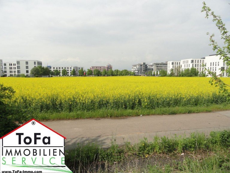 Sicht1 Mainz Gewerbegrundst�ck ToFa: Ihr neuer Standort vor den Toren von Mainz...