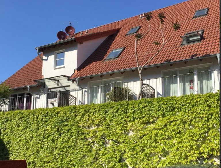 Ansicht von unten Mainz Terrassenwohnung ToFa: voll m�bliertes Appartement mit Terrasse / Ende 2026 fre