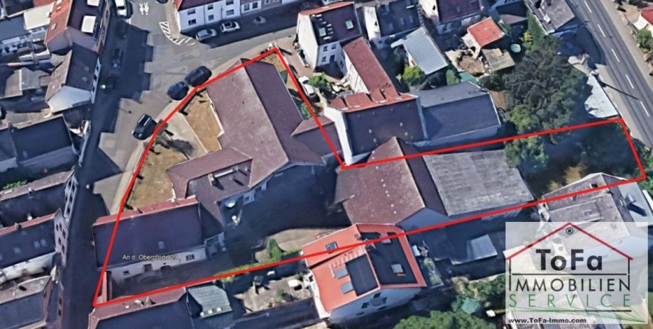 Vogel2 Kopie Land- / Forstwirtschaft - Grdst. Mainz Bretzenheim