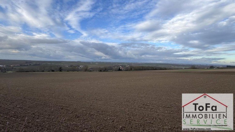 Fernblick 1 Saulheim Gewerbegrundst�ck ToFa: Eckgrundst�ck mit mega FERNSICHT im neuen Gewerbegebiet