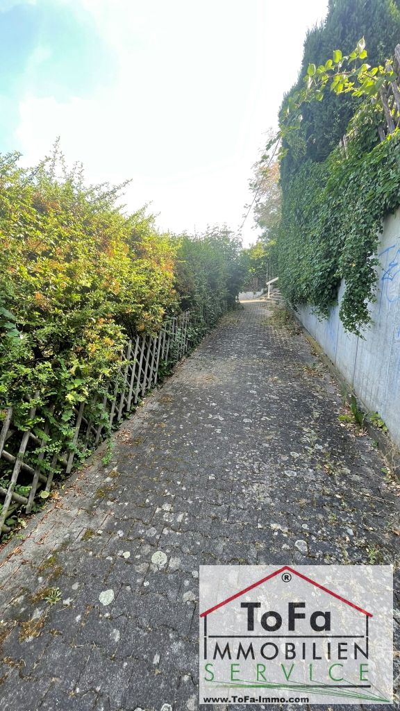 Oberhalb Doppelhaush�lfte Mainz